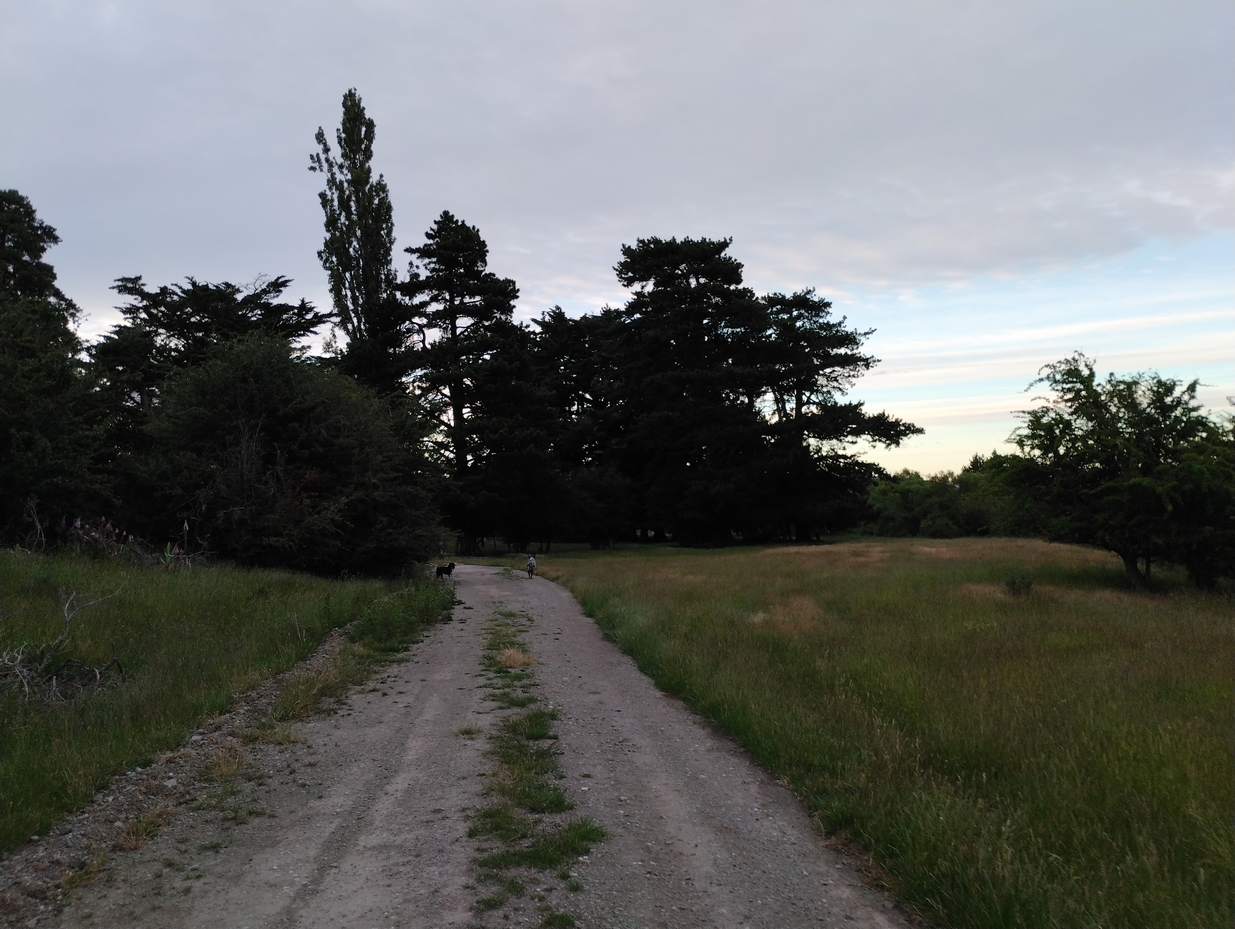 on the way to graveyard